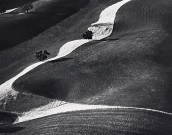 WILLIAM A. GARNETT (1916-2006) Four Trees on Hills, Paso Robles, California. 1979.                                                               